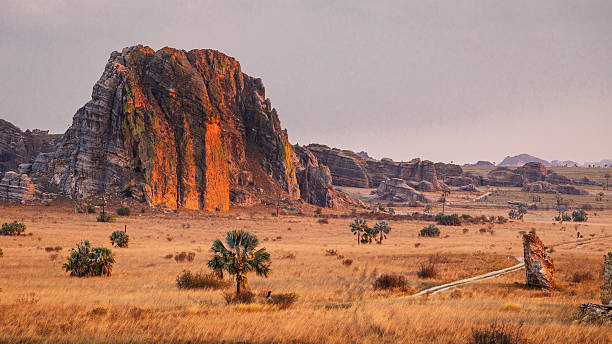 Madagascar scenic background