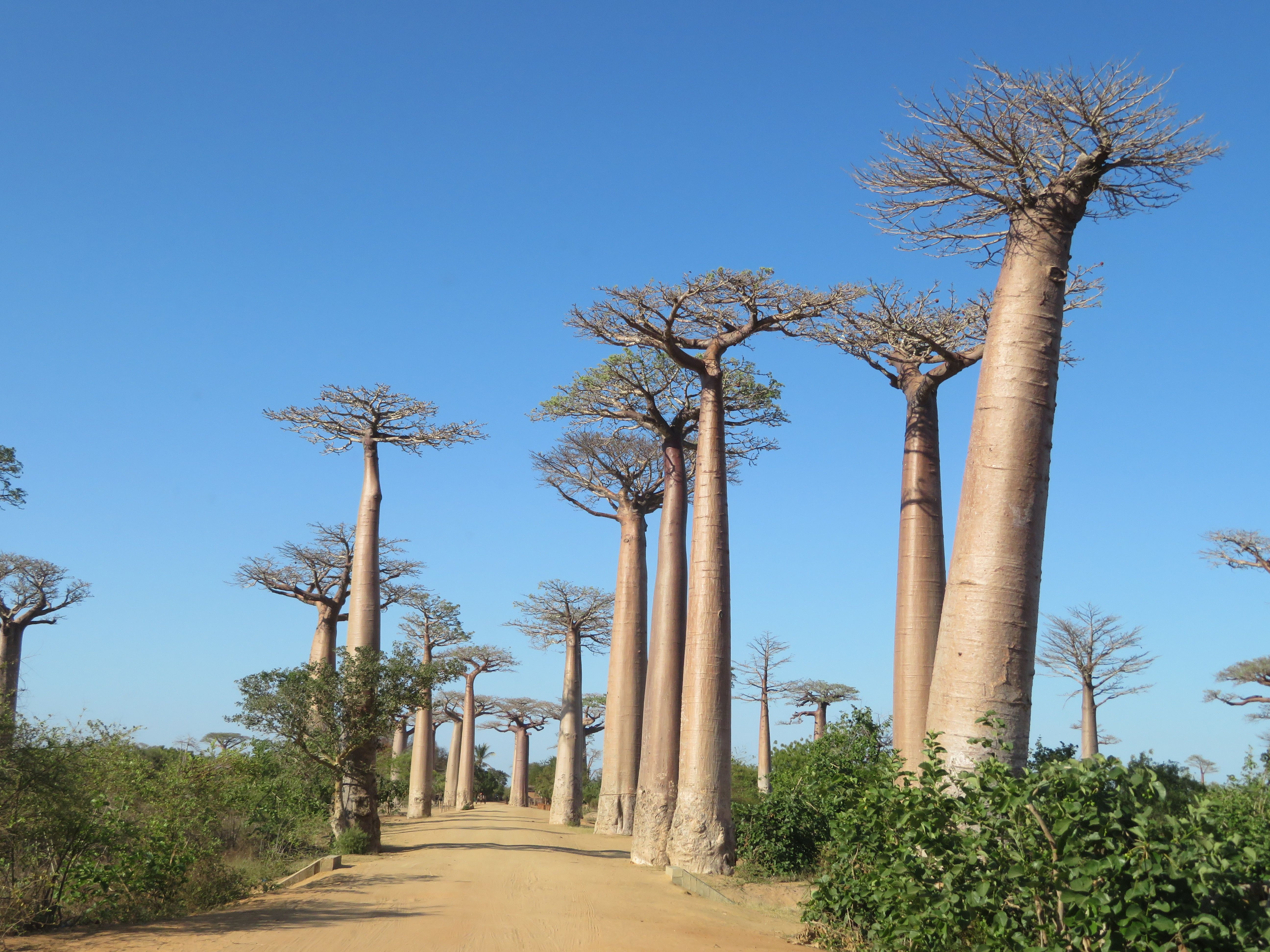 Madagascar beach and lagoon