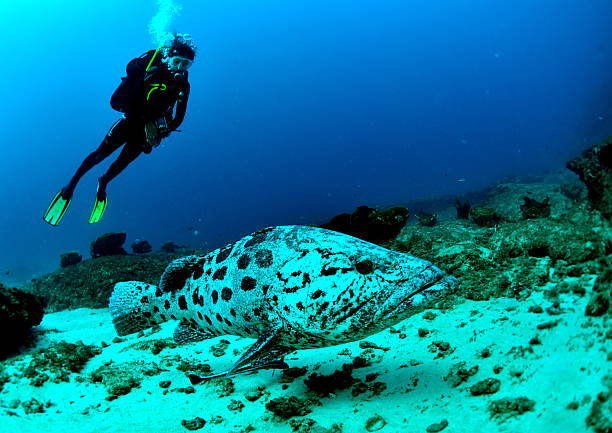 andBeyond Benguerra Island, Mozambique
