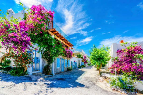 Turkey scenic background
